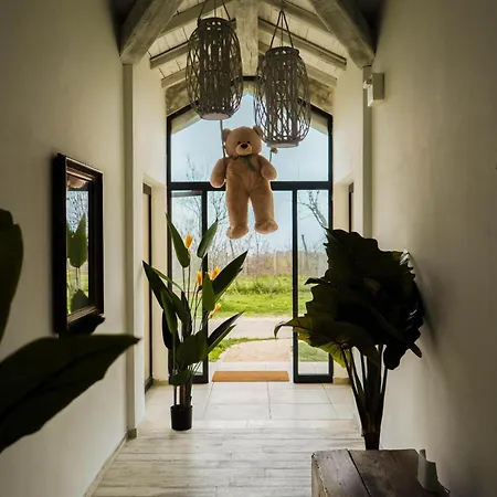 Gasthof Teddyblu Alla Riballina *