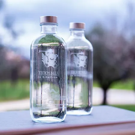 Gasthof Teddyblu Alla Riballina *