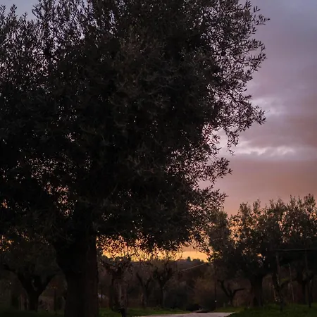 Gasthof Teddyblu Alla Riballina